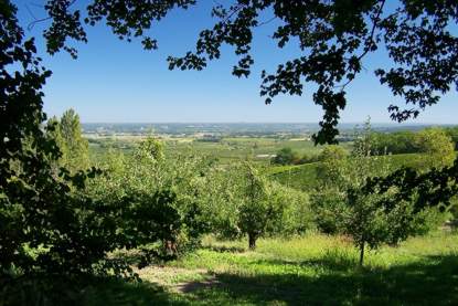 paysage monbazillac